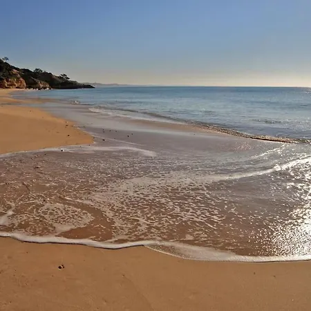 Superbe Paradis Dans Les Jardins De La Marina Апартаменты