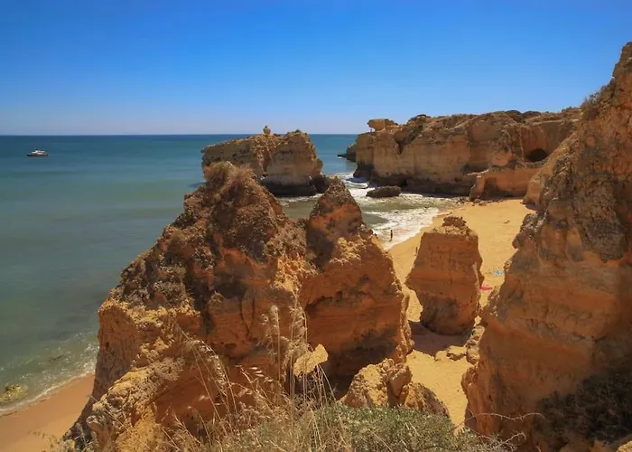 Superbe Paradis Dans Les Jardins De La Marina